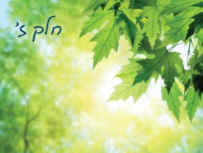 חטא עץ הדעת;ההכרה בין טוב לרע;הנחש הקדמוני;עבירה לשמה;נבואה;הקלקול שהחטא גרם;תיקון החטא