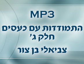 יסודות הכעס;סכנה ושמה איבוד שליטה;השלב המעשי;כוחו של ויתור
