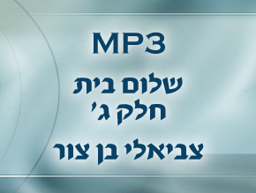 יסודות הזוגיות;חמשת כללי הזהב;זכו – שכינה בינהם