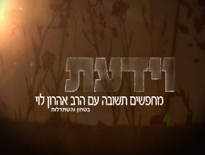 בטחון והשתדלות;מעמד האשה חלק א`;מעמד האשה חלק ב`;סבל, יסורים ומשמעותם – חלק א`;סבל, יסורים ומשמעותם – חלק ב`;יהדות, נצרות ואיסלאם;השתלשלות התורה שבע''פ;פיתוח הרצון;תפילה;נבואות שהתגשמו;מה תרמה היהדות לעולם?;השגחה פרטית;מה צופן לנו העתיד;טעמי המצוות;היכן מסתתרת משמעות החיים?
