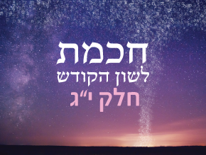 נפלאות לשון הקודש- חלק ז`;test chapter;חכמת לשון הקודש – א`;חכמת לשון הקודש – ב`;חכמת לשון הקודש – ג`;חכמת לשון הקודש – ד`;חכמת לשון הקודש – ה`;חוכמת לשון הקודש – חלק ו`;חכמת לשון הקודש – ו`;חכמת לשון הקודש – ז`;חכמת לשון הקודש – ח`;חכמת לשון הקודש – ט`;חכמת לשון הקודש – י`;חכמת לשון הקודש –  י''א;חכמת לשון הקודש – חלק י''ב;חכמת לשון הקודש – חלק י''ג